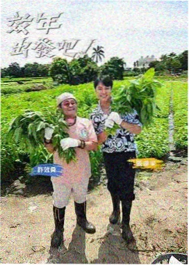 神马影院在线播放-向往的生活